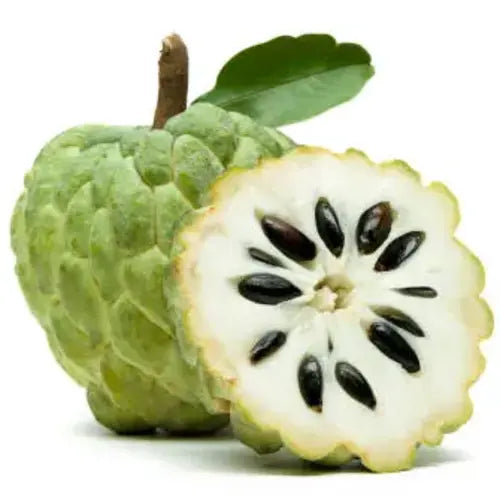 Custard Apple
