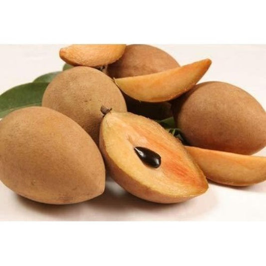 Chikku (Sapota)