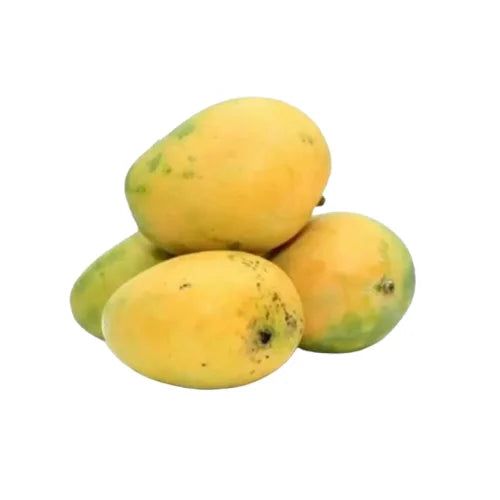 Javad Mango