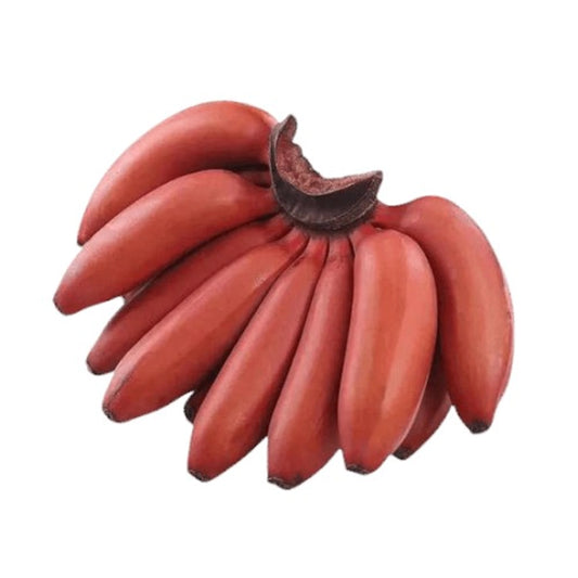Banana (Red)