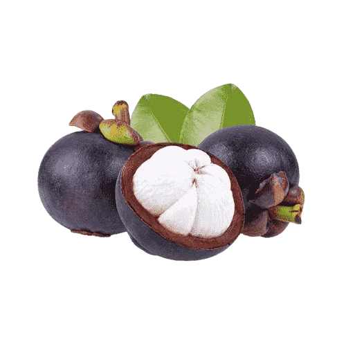 Mangosteen Fruit